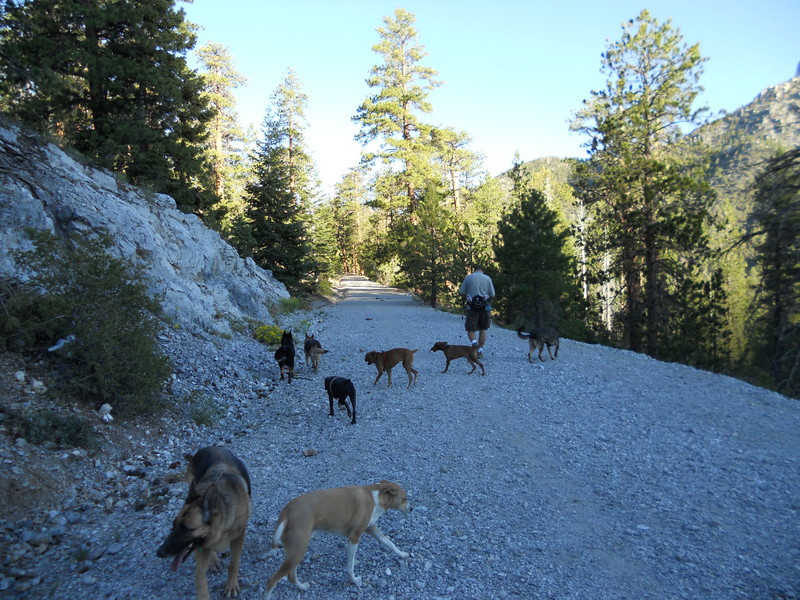 Saturday morning hikes...