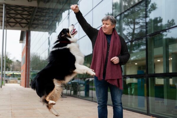 dog training in Las Vegas