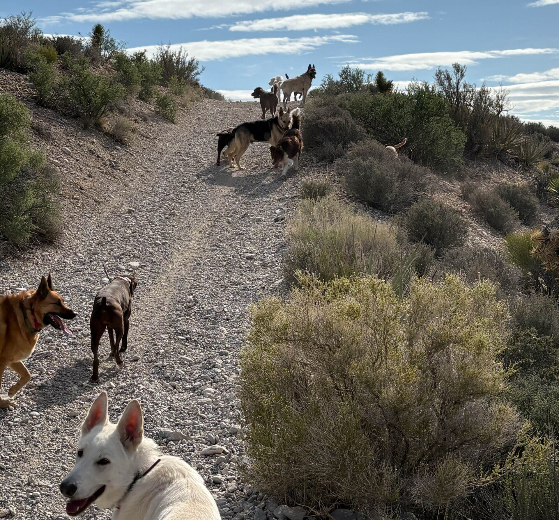 Forward pack hike