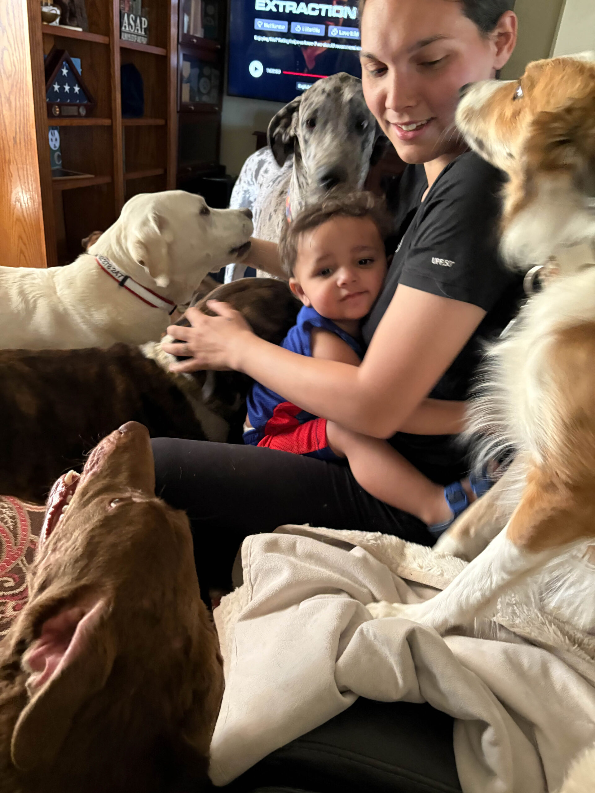 Owner with dogs — relaxed and trusting