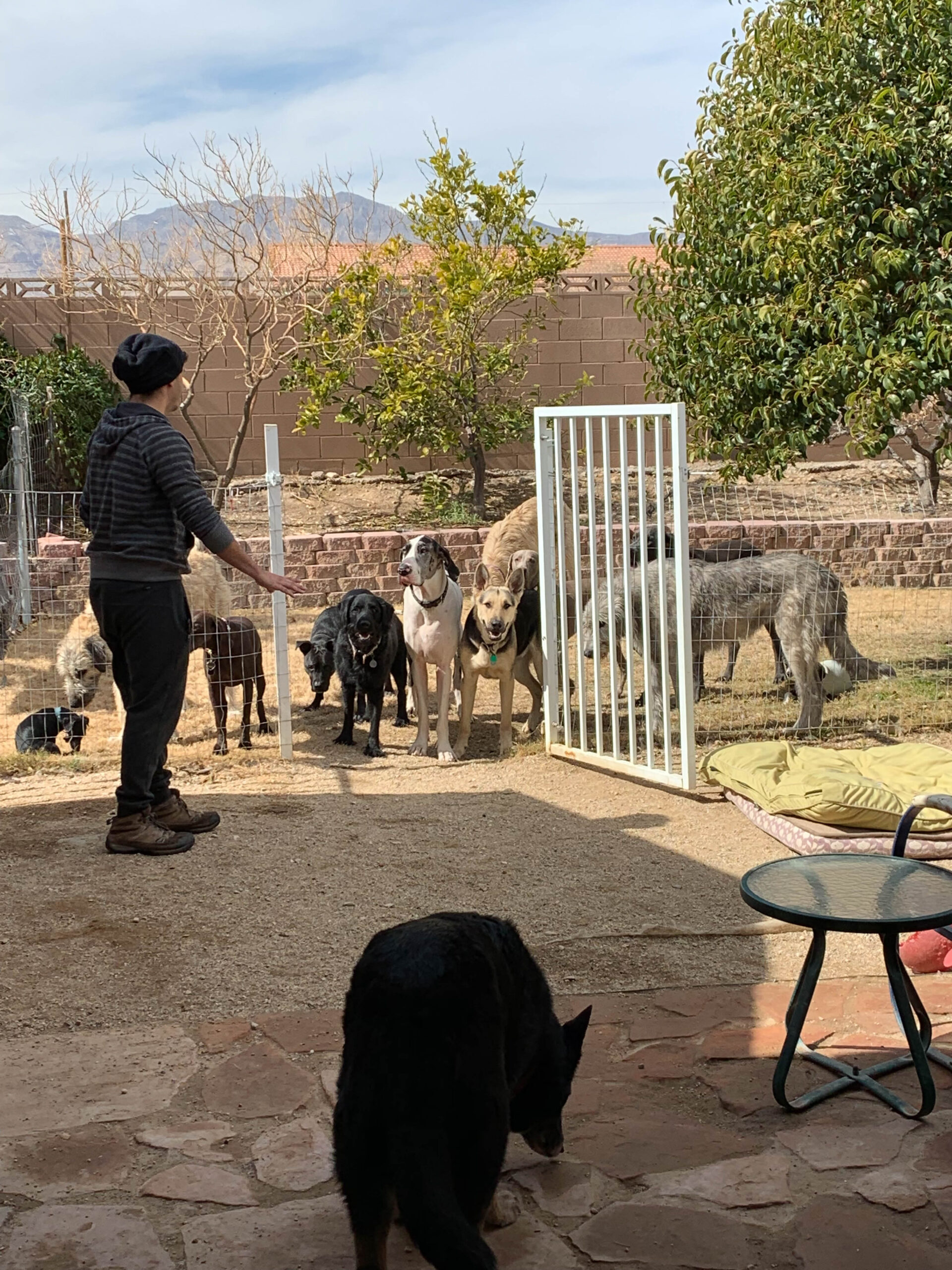 Pack boundary structure and handler authority